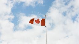 【加拿大移民】 项目这么多，总有一款适合你！